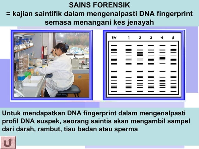 Pembahagian sel modul 2 sem 2 kv | PPT