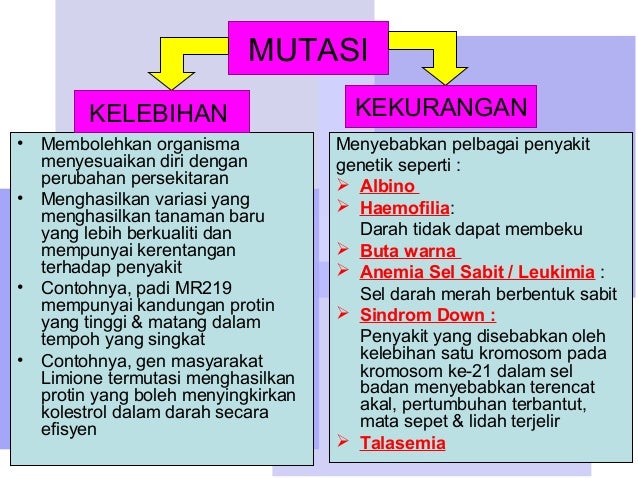 Pembahagian sel modul 2 sem 2 kv