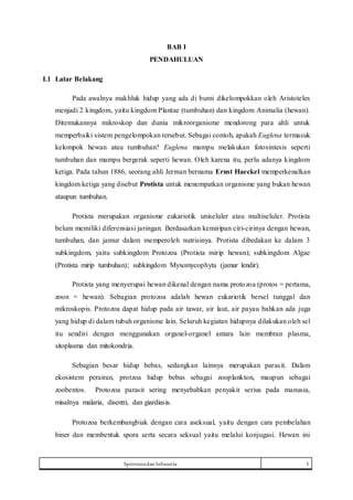 Makalah Protozoa, Filum Infusoria dan Sporozoa | DOCX