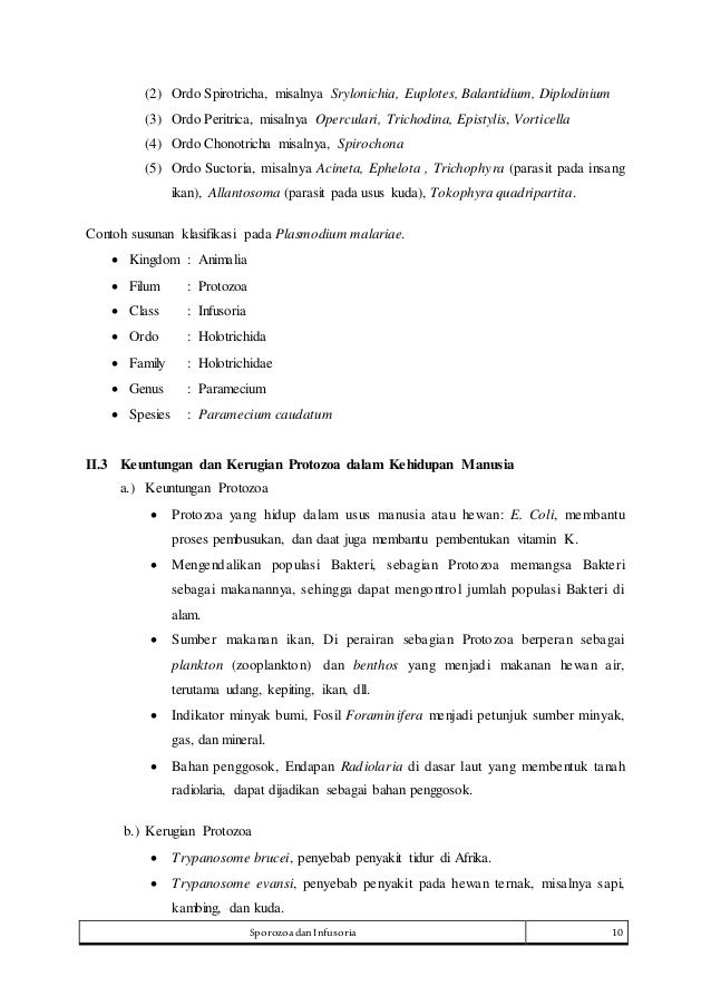 Makalah Protozoa, Filum Infusoria dan Sporozoa