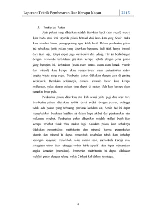 Laporan: Teknik Pembesaran Ikan Kerapu Macan 2015
12
5. Pemberian Pakan
Jenis pakan yang diberikan adalah ikan-ikan kecil (ikan rucah) seperti
ikan bada atau teri. Apabila pakan berasal dari ikan-ikan yang besar, maka
ikan tersebut harus potong-potong agar lebih kecil. Dalam pemberian pakan
ini, sebaiknya jenis pakan yang diberikan beragam, jadi tidak hanya berasal
dari ikan saja, tetapi dapat juga cumi-cumi dan udang. Hal ini berhubungan
dengan memenuhi kebutuhan gizi ikan kerapu, sebab dengan jenis pakan
yang beragam ini, kebutuhan (asam-asam amino, asam-asam lemak, vitamin
dan mineral) ikan kerapu akan memperlancar masa pertumbuhan dalam
jangka waktu yang cepat. Pemberian pakan dilakukan dengan cara di gunting
kecil-kecil. Demikian seterusnya, dimana semakin besar ikan kerapu
peliharaan, maka ukuran pakan yang dapat di makan oleh ikan kerapu akan
semakin besar pula.
Pemberian pakan diberikan dua kali sehari yaitu pagi dan sore hari.
Pemberian pakan dilakukan sedikit demi sedikit dengan cermat, sehingga
tidak ada pakan yang terbuang percuma kedalam air. Sebab hal ini dapat
menyebabkan buruknya kualitas air dalam hapa akibat dari pembusukan sisa
makanan tersebut. Pemberian pakan dihentikan setelah melihat benih ikan
kerapu tersebut tidak mau makan lagi. Kedalam pakan ikan sebaiknya
dilakukan penambahan multivitamin dan mineral, karena penambahan
vitamin dan mineral ini dapat menambah kekebalan tubuh ikan terhadap
serangan penyakit, menambah nafsu makan ikan, menambah kinerja atau
kesegaran tubuh ikan sehingga terlihat lebih agresif dan dapat menurunkan
angka kematian (mortalitas). Pemberian multivitamin ini dapat dilakukan
melalui pakan dengan selang waktu 2 (dua) kali dalam seminggu.
 