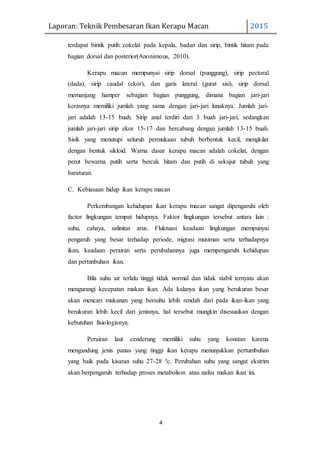 Laporan: Teknik Pembesaran Ikan Kerapu Macan 2015
4
terdapat bintik putih cokelat pada kepala, badan dan sirip, bintik hitam pada
bagian dorsal dan posterior(Anonimous, 2010).
Kerapu macan mempunyai sirip dorsal (punggung), sirip pectoral
(dada), sirip caudal (ekor), dan garis lateral (gurat sisi), sirip dorsal
memanjang hamper sebagian bagian punggung, dimana bagian jari-jari
kerasnya memiliki jumlah yang sama dengan jari-jari lunaknya. Jumlah jari-
jari adalah 13-15 buah. Sirip anal terdiri dari 3 buah jari-jari, sedangkan
jumlah jari-jari sirip ekor 15-17 dan bercabang dengan jumlah 13-15 buah.
Sisik yang menutupi seluruh permukaan tubuh berbentuk kecil, mengkilat
dengan bentuk sikloid. Warna dasar kerapu macan adalah cokelat, dengan
perut bewarna putih serta bercak hitam dan putih di sekujur tubuh yang
baraturan.
C. Kebiasaan hidup ikan kerapu macan
Perkembangan kehidupan ikan kerapu macan sangat dipengaruhi oleh
factor lingkungan tempat hidupnya. Faktor lingkungan tersebut antara lain :
suhu, cahaya, salinitas arus. Fluktuasi keadaan lingkungan mempunyai
pengaruh yang besar terhadap periode, migrasi musiman serta terhadapnya
ikan, keadaan perairan serta perubahannya juga mempengaruhi kehidupan
dan pertunbuhan ikan.
Bila suhu air terlalu tinggi tidak normal dan tidak stabil ternyata akan
mengurangi kecepatan makan ikan. Ada kalanya ikan yang berukuran besar
akan mencari makanan yang bersuhu lebih rendah dari pada ikan-ikan yang
berukuran lebih kecil dari jenisnya, hal tersebut mungkin disesuaikan dengan
kebutuhan fisiologisnya.
Perairan laut cenderung memiliki suhu yang konstan karena
mengandung jenis panas yang tinggi ikan kerapu menunjukkan pertumbuhan
yang baik pada kisaran suhu 27-28 ºc. Perubahan suhu yang sangat ekstrim
akan berpengaruh terhadap proses metabolism atau nafsu makan ikan ini.
 