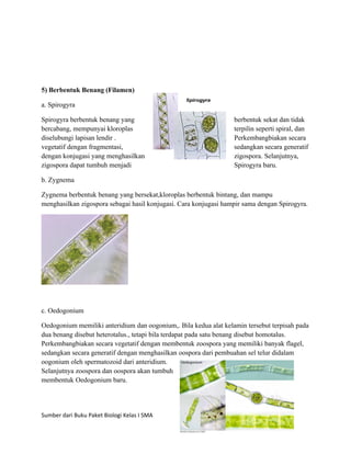 5) Berbentuk Benang (Filamen)

a. Spirogyra

Spirogyra berbentuk benang yang                                   berbentuk sekat dan tidak
bercabang, mempunyai kloroplas                                    terpilin seperti spiral, dan
diselubungi lapisan lendir .                                      Perkembangbiakan secara
vegetatif dengan fragmentasi,                                     sedangkan secara generatif
dengan konjugasi yang menghasilkan                                zigospora. Selanjutnya,
zigospora dapat tumbuh menjadi                                    Spirogyra baru.

b. Zygnema

Zygnema berbentuk benang yang bersekat,kloroplas berbentuk bintang, dan mampu
menghasilkan zigospora sebagai hasil konjugasi. Cara konjugasi hampir sama dengan Spirogyra.




c. Oedogonium

Oedogonium memiliki anteridium dan oogonium,. Bila kedua alat kelamin tersebut terpisah pada
dua benang disebut heterotalus., tetapi bila terdapat pada satu benang disebut homotalus.
Perkembangbiakan secara vegetatif dengan membentuk zoospora yang memiliki banyak flagel,
sedangkan secara generatif dengan menghasilkan oospora dari pembuahan sel telur didalam
oogonium oleh spermatozoid dari anteridium.
Selanjutnya zoospora dan oospora akan tumbuh
membentuk Oedogonium baru.




Sumber dari Buku Paket Biologi Kelas I SMA
 