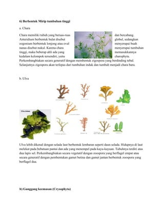 6) Berbentuk Mirip tumbuhan tinggi

a. Chara

Chara memiliki tubuh yang beruas-ruas                                dan bercabang.
Anteridium berbentuk bulat disebut                                   globul, sedangkan
oogonium berbentuk lonjong atau oval                                 menyerupai buah
nanas disebut nukul. Karena chara                                    menyerupai tumbuhan
tinggi, maka beberap ahli ada yang                                   memasukkannya
kedalam kelompok tersendiri, yaitu                                   charophyta.
Perkembangbiakan secara generatif dengan membentuk zigospora yang berdinding tebal.
Selanjutnya zigospora akan terlepas dari tumbuhan induk dan tumbuh menjadi chara baru.



b. Ulva




Ulva lebih dikenal dengan selada laut berbentuk lembaran seperti daun selada. Hidupnya di laut
melekat pada bebatuan pantai dan ada yang menempel pada kayu-kayuan. Tubuhnya terdiri atas
dua lapis sel. Perkembangbiakan secara vegetatif dengan zoospora yang berflagel empat atau
secara generatif dengan pembentukan gamet betina dan gamet jantan berbentuk zoospora yang
berflagel dua.




b) Ganggang keemasan (Crysophyta)
 