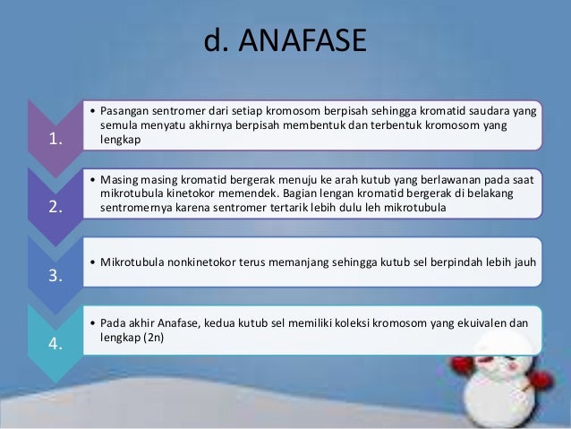 Pembelahan amitosis mitosis gametogenesis pada manusia Pembelahan amitosis mitosis gametogenesis pada manusia