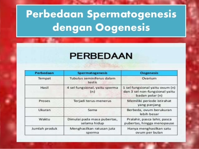 Tabel Perbedaan Spermatogenesis Dan Oogenesis Goreng