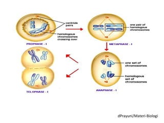 dPrayuni/Materi-Biologi
 