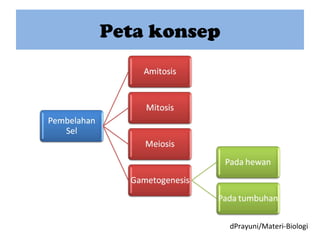 Peta konsep
dPrayuni/Materi-Biologi
 