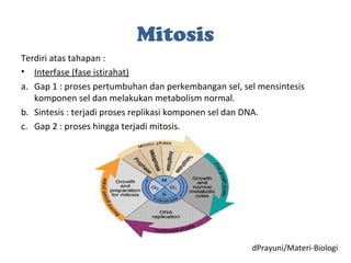 Mitosis
Terdiri atas tahapan :
• Interfase (fase istirahat)
a. Gap 1 : proses pertumbuhan dan perkembangan sel, sel mensintesis
komponen sel dan melakukan metabolism normal.
b. Sintesis : terjadi proses replikasi komponen sel dan DNA.
c. Gap 2 : proses hingga terjadi mitosis.
dPrayuni/Materi-Biologi
 