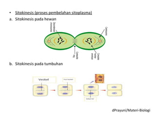 • Sitokinesis (proses pembelahan sitoplasma)
a. Sitokinesis pada hewan
b. Sitokinesis pada tumbuhan
dPrayuni/Materi-Biologi
 