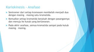 Kariokinesis - Anafase


Sentromer dari setiap kromosom membelah menjadi dua
dengan masing – masing satu kromatida.



Kemudian setiap kromatida berpisah dengan pasangannya
dan menuju ke kutub yang berlawanan.



Pada akhir anafase, semua kromatida sampai pada kutub
masing – masing.

 