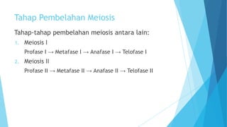 Tahap Pembelahan Meiosis
Tahap-tahap pembelahan meiosis antara lain:
1.

Meiosis I
Profase I → Metafase I → Anafase I → Telofase I

2.

Meiosis II
Profase II → Metafase II → Anafase II → Telofase II

 
