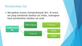 Pembelahan Sel


Merupakan proses memperbanyak diri, di mana
sel yang membelah disebut sel induk, sedangkan
hasil pembelahan disebut sel anak
Tidak langsung

PEMBELAHAN
SEL

P. Amitosis
Mitosis

Langsung
Meiosis

 