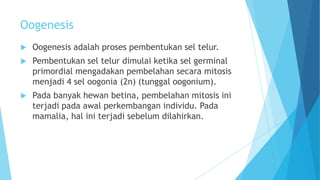 Oogenesis


Oogenesis adalah proses pembentukan sel telur.



Pembentukan sel telur dimulai ketika sel germinal
primordial mengadakan pembelahan secara mitosis
menjadi 4 sel oogonia (2n) (tunggal oogonium).



Pada banyak hewan betina, pembelahan mitosis ini
terjadi pada awal perkembangan individu. Pada
mamalia, hal ini terjadi sebelum dilahirkan.

 