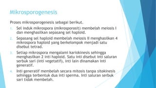 Mikrosporogenesis
Proses mikrosporogenesis sebagai berikut.
1. Sel induk mikrospora (mikrosporosit) membelah meiosis I
dan menghasilkan sepasang sel haploid.
2. Sepasang sel haploid membelah meiosis II menghasilkan 4
mikrospora haploid yang berkelompok menjadi satu
disebut tetrad.
3. Setiap mikrospora mengalami kariokinesis sehingga
menghasilkan 2 inti haploid. Satu inti disebut inti saluran
serbuk sari (inti vegetatif), inti lain dinamakan inti
generatif.
4. Inti generatif membelah secara mitosis tanpa sitokinesis
sehingga terbentuk dua inti sperma. Inti saluran serbuk
sari tidak membelah.

 
