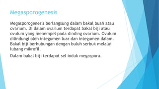 Megasporogenesis
Megasporogenesis berlangsung dalam bakal buah atau
ovarium. Di dalam ovarium terdapat bakal biji atau
ovulum yang menempel pada dinding ovarium. Ovulum
dilindungi oleh integumen luar dan integumen dalam.
Bakal biji berhubungan dengan buluh serbuk melalui
lubang mikrofil.
Dalam bakal biji terdapat sel induk megaspora.

 