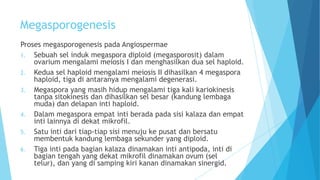 Megasporogenesis
Proses megasporogenesis pada Angiospermae
1. Sebuah sel induk megaspora diploid (megasporosit) dalam
ovarium mengalami meiosis I dan menghasilkan dua sel haploid.
2. Kedua sel haploid mengalami meiosis II dihasilkan 4 megaspora
haploid, tiga di antaranya mengalami degenerasi.
3. Megaspora yang masih hidup mengalami tiga kali kariokinesis
tanpa sitokinesis dan dihasilkan sel besar (kandung lembaga
muda) dan delapan inti haploid.
4. Dalam megaspora empat inti berada pada sisi kalaza dan empat
inti lainnya di dekat mikrofil.
5. Satu inti dari tiap-tiap sisi menuju ke pusat dan bersatu
membentuk kandung lembaga sekunder yang diploid.
6. Tiga inti pada bagian kalaza dinamakan inti antipoda, inti di
bagian tengah yang dekat mikrofil dinamakan ovum (sel
telur), dan yang di samping kiri kanan dinamakan sinergid.

 