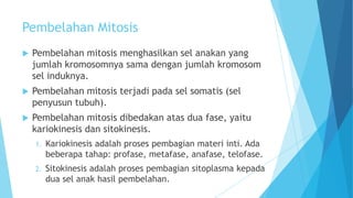 Pembelahan Mitosis


Pembelahan mitosis menghasilkan sel anakan yang
jumlah kromosomnya sama dengan jumlah kromosom
sel induknya.



Pembelahan mitosis terjadi pada sel somatis (sel
penyusun tubuh).



Pembelahan mitosis dibedakan atas dua fase, yaitu
kariokinesis dan sitokinesis.
1.

Kariokinesis adalah proses pembagian materi inti. Ada
beberapa tahap: profase, metafase, anafase, telofase.

2.

Sitokinesis adalah proses pembagian sitoplasma kepada
dua sel anak hasil pembelahan.

 