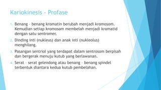 Kariokinesis - Profase
1.

Benang – benang kromatin berubah menjadi kromosom.
Kemudian setiap kromosom membelah menjadi kromatid
dengan satu sentromer.

2.

Dinding inti (nukleus) dan anak inti (nukleolus)
menghilang.

3.

Pasangan sentriol yang terdapat dalam sentrosom berpisah
dan bergerak menuju kutub yang berlawanan.

4.

Serat – serat gelendong atau benang – benang spindel
terbentuk diantara kedua kutub pembelahan.

 