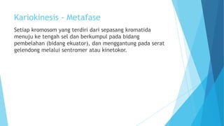 Kariokinesis - Metafase
Setiap kromosom yang terdiri dari sepasang kromatida
menuju ke tengah sel dan berkumpul pada bidang
pembelahan (bidang ekuator), dan menggantung pada serat
gelendong melalui sentromer atau kinetokor.

 