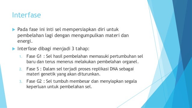 Pembelahan Sel Pembelahan Sel