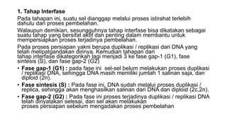 1. Tahap Interfase
Pada tahapan ini, suatu sel dianggap melalui proses istirahat terlebih
dahulu dari proses pembelahan.
Walaupun demikian, sesungguhnya tahap interfase bisa dikatakan sebagai
suatu tahap yang bersifat aktif dan penting dalam membantu untuk
mempersiapkan proses terjadinya pembelahan.
Pada proses persiapan yakni berupa duplikasi / replikasi dari DNA yang
telah melipatgandakan dirinya. Kemudian tahapan dari
tahap interfase dikategorikan lagi menjadi 3 ke fase gap-1 (G1), fase
sintesis (S), dan fase gap-2 (G2)
• Fase gap-1 (G1) : pada fase ini sel-sel belum melakukan proses duplikasi
/ replikasi DNA, sehingga DNA masih memiliki jumlah 1 salinan saja, dan
diploid (2n).
• Fase sintesis (S) : Pada fase ini, DNA sudah melalui proses duplikasi /
replica, sehingga akan menghasilkan salinan dari DNA dan diploid (2c,2n).
• Fase gap-2 (G2) : Pada fase ini proses terjadinya duplikasi / replikasi DNA
telah dinyatakan selesai, dan sel akan melakukan
proses persiapan sebelum mengadakan proses pembelahan
 