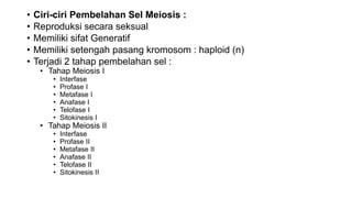 • Ciri-ciri Pembelahan Sel Meiosis :
• Reproduksi secara seksual
• Memiliki sifat Generatif
• Memiliki setengah pasang kromosom : haploid (n)
• Terjadi 2 tahap pembelahan sel :
• Tahap Meiosis I
• Interfase
• Profase I
• Metafase I
• Anafase I
• Telofase I
• Sitokinesis I
• Tahap Meiosis II
• Interfase
• Profase II
• Metafase II
• Anafase II
• Telofase II
• Sitokinesis II
 