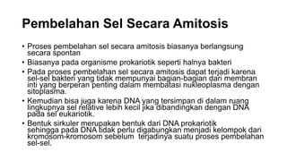 Pembelahan Sel Secara Amitosis
• Proses pembelahan sel secara amitosis biasanya berlangsung
secara spontan
• Biasanya pada organisme prokariotik seperti halnya bakteri
• Pada proses pembelahan sel secara amitosis dapat terjadi karena
sel-sel bakteri yang tidak mempunyai bagian-bagian dari membran
inti yang berperan penting dalam membatasi nukleoplasma dengan
sitoplasma.
• Kemudian bisa juga karena DNA yang tersimpan di dalam ruang
lingkupnya sel relative lebih kecil jika dibandingkan dengan DNA
pada sel eukariotik.
• Bentuk sirkuler merupakan bentuk dari DNA prokariotik
sehingga pada DNA tidak perlu digabungkan menjadi kelompok dari
kromosom-kromosom sebelum terjadinya suatu proses pembelahan
sel-sel.
 