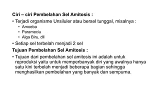 Ciri – ciri Pembelahan Sel Amitosis :
• Terjadi organisme Unsiluler atau bersel tunggal, misalnya :
• Amoeba
• Parameciu
• Alga Biru, dll
• Setiap sel terbelah menjadi 2 sel
Tujuan Pembelahan Sel Amitosis :
• Tujuan dari pembelahan sel amitosis ini adalah untuk
reproduksi yaitu untuk memperbanyak diri yang awalnya hanya
satu kini terbelah menjadi beberapa bagian sehingga
menghasilkan pembelahan yang banyak dan sempurna.
 