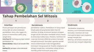 Materi Biologi kelas XII _pembelahan sel.pptx