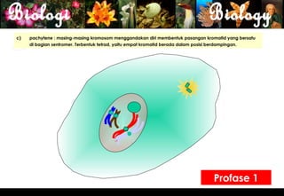 Pembelahan Sel : Meiosis | PPT