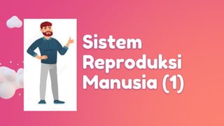 Sistem
Reproduksi
Manusia (1)
 