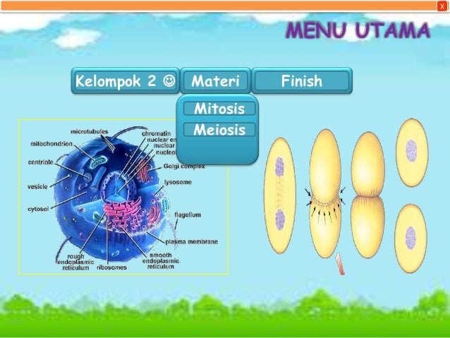 Pembelahan Sel Mitosis N Meiosis Pembelahan Sel Mitosis N Meiosis