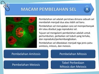 Pembelahan Mitosis
Pembelahan Meiosis
Tabel Perbedaan
Mitosis dan Meiosis
x
Pembelahan sel adalah peristiwa dimana sebuah sel
membelah menjadi dua atau lebih sel baru.
Pembelahan sel merupakan cara sel memperbanyak
diri atau disebut juga reproduksi sel.
Tujuan sel mengalami pembelahan adalah untuk
pertumbuhan, perbaikan sel tubuh yang terluka,
dan reproduksi/perkembangbiakan.
Pembelahan sel dibedakan menjadi tiga jenis yaitu
amitosis, mitosis, dan meiosis.
Pembelahan Amitosis
 