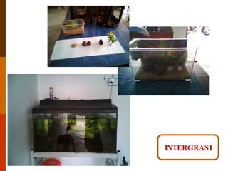 INTERGRASI 