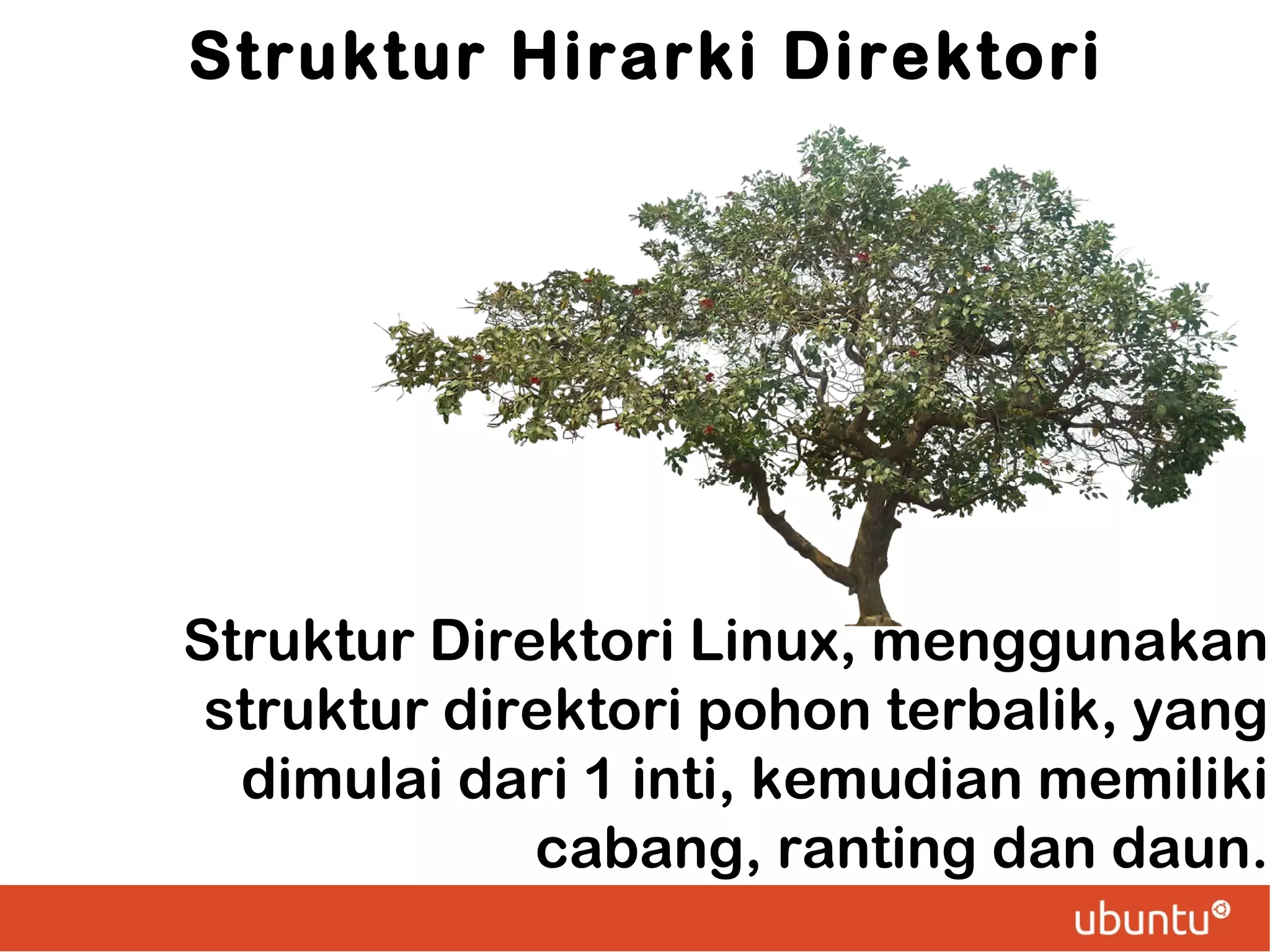 Struktur Hirarki Direktori

Struktur Direktori Linux, menggunakan
struktur direktori pohon terbalik, yang
dimulai dari 1 inti, kemudian memiliki
cabang, ranting dan daun.

 