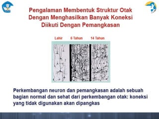 pembelajaran materi untuk aktifitas interaktif