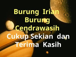 Burung Irian
Burung
Cendrawasih
Cukup Sekian dan
Terima Kasih
 