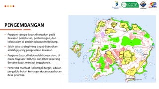 PENGEMBANGAN
• Program serupa dapat diterapkan pada
Kawasan pelestarian, perlindungan, dan
kelola alam di pesisir Kabupaten Belitung.
• Salah satu strategi yang dapat diterapkan
adalah jejaring pengelolaan kawasan.
• Program dapat dikelola oleh konsorsium, di
mana Yayasan TERANGI dan HKm Seberang
Bersatu dapat menjadi anggotanya.
• Penerima manfaat (kelompok target) adalah
pengelola hutan kemasyarakatan atau hutan
desa prioritas.
 