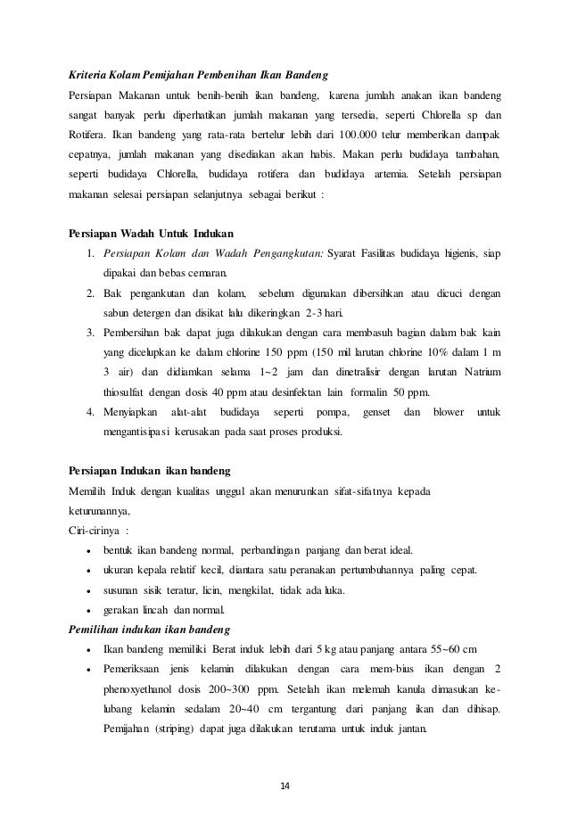 Alam Ikan Ikan Bandeng
