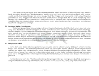 10
Larva akan berangsur-angsur akan berubah menjadi benih pada umur sekitar 15 hari dan pada umur tersebut
benih kemudian dipanen dan didederkan pada wadah yang lebih besar agar pertumbuhan benih lebih optimal,
wadah pendederan dapat berupa bak semen ataupun bak fiber hingga benih berukuran 2-3 inchi, seluruh kegiatan
pemeliharaan larva hingga benih harus dicatat dan terdokumentasi dengan baik, hal ini untuk menghitung biaya
produksi yang dikeluarkan untuk memproduksi benih patin, selain itu bertujuan untuk memudahkan dalam evaluasi bila
terjadi kendala dan masalah dalam proses pemeliharaan benih. Secara sederhana form pencatatan pemelirahaan
larva/benih sebagaimana terlampir.
5.2 Persiapan Wadah Pemeliharaan
Wadah yang dapat digunakan untuk pemeliharaan larva yaitu akuarium, bak fiber, bak semen, atau bak kayu.
Yang perlu diperhatikan adalah ketinggian air media pemeliharaan larva sebaiknya tidak terlalu dalam atau tinggi,
idealnya adalah 20-40 cm. bila terlalu tinggi akan menyulitkan larva dalam mengambil oksigen dari udara, karena ikan
patin sesekali akan mengambil oksigen dari udara meskipun kandungan oksigen terlarut dalam air cukup karena
diberikan aerasi. Sebelum digunakan untuk pemeliharaan larva, wadah dicuci dengan deterjen hingga bersih
kemudian dibilas dengan desinfektan seperti klorin, kaporit atau PK, kemudian dibilas dengan air bersih dan dibiarkan
kering. Setelah benar-benar kering wadah dapat diisi dengan air bersih sebagai media pemeliharaan larva, pengisian
air dilakukan sehari sebelum larva akan ditebar, kedalam wadah ditambahkan aerasi.
5.3 Pengelolaan Pakan
Larva ikan patin dapat diberikan pakan berupa nauplius artemia setelah berumur 30-35 jam setelah menetas
hingga larva berumur 7 hari, frekwensi pemberian pakan berupa nauplius artemia sebanyak 5 kali dengan interval
waktu 4 jam sekali. Pada hari kedua dan ketiga sebaiknya frekwensi pemberian pakan ditingkatkan menjadi 6 kali
dengan interval waktu 4 jam sekali, hal ini dikarenakan pada umur tersebut tingkat kanibalisme larva tinggi, sedangkan
pada hari ke 4 hingga hari ke 7 frekwensi pemberian pakan kembali diturunkan menjadi 5 kali dengan interval waktu 4
jam sekali.
Setelah berumur lebih dari 7 hari larva diberikan pakan pengganti berupa cacing sutera (tubifek), cacing sutera
yang diberikan harus dicincang terlebih dahulu hal ini karena ukuran bukaan mulut larva yang masih terlalu kecil.
 