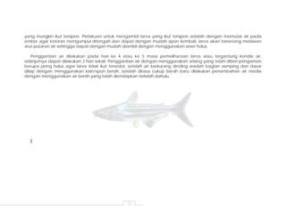 12
yang mungkin ikut tersipon. Perlakuan untuk mengambil larva yang ikut tersipon adalah dengan memutar air pada
ember agar kotoran mengumpul ditengah dan dapat dengan mudah sipon kembali, larva akan berenang melawan
arus putaran air sehingga dapat dengan mudah diambil dengan menggunakan seser halus.
Penggantian air dilakukan pada hari ke 4 atau ke 5 masa pemeliharaan larva atau tergantung kondisi air,
selanjutnya dapat dilakukan 2 hari sekali. Penggantian air dengan menggunakan selang yang telah diberi pengaman
berupa jaring halus agar larva tidak ikut tersedot, setelah air berkurang dinding wadah bagian samping dan dasar
dilap dengan menggunakan kain/spon bersih, setelah dirasa cukup bersih baru dilakukan penambahan air media
dengan menggunakan air bersih yang telah diendapkan terlebih dahulu.
]
 