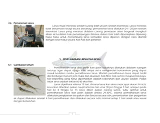 9
4.6 Pemanenan Larva
Larva mulai menetas setelah kurang lebih 20 jam setelah inseminasi. Larva menetas
tidak bersamaan tetapi secara bertahap, pemanenan larva dilakukan 24 – 28 jam setelah
inseminasi. Larva yang menetas didalam corong penetasan akan bergerak mengikuti
aliran air kedalam bak penampungan dimana dalam bak telah dipersiapkan dipasang
hapa halus untuk menampung larva kemudian larva dipanen dengan cara diambil
dengan seser halus secara hati-hati dan perlahan.
5 PEMELIHARAAN LARVA DAN BENIH
5.1 Gambaran Umum
Pemeliharaan larva dan benih ikan patin sebaiknya dilakukan didalam ruangan
tertutup agar dapat dijaga suhu airnya serta menghindari kontaminan yang dapat
masuk kedalam media pemeliharaan larva. Wadah pemeliharaan larva dapat terdiri
dari berbagai macam jenis mulai dari akuarium, bak fiber, bak semen maupun bak kayu,
hal terpenting yang harus diperhatikan adalah kebersihan dan ukuran wadah. Padat
tebar larva adalah sekitar 60-80 ekor/liter.
Larva dipelihara selama 15 hari, dimana larva ikan akan mencapai ukuran ¾ inchi,
larva ikan diberikan pakan naupli artemia dari umur 30 jam hingga 7 hari, adapun pada
hari ke 8 hingga ke 15 larva diberi pakan cacing sutera. Suhu optimal untuk
pemeliharaan larva ikan patin adalah antara 29-30oC, selama pemeliharaan larva
dilakukan penyiponan sisa pakan dan faeces secara rutin, penambahan dan pergantian
air dapat dilakukan setelah 4 hari pemeliharaan dan dilakukan secara rutin minimal setiap 2 hari sekali atau sesuai
dengan kebutuhan.
 