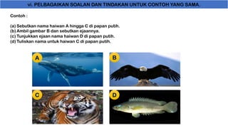 vi. PELBAGAIKAN SOALAN DAN TINDAKAN UNTUK CONTOH YANG SAMA.
Contoh :
(a) Sebutkan nama haiwan A hingga C di papan putih.
(b) Ambil gambar B dan sebutkan ejaannya.
(c) Tunjukkan ejaan nama haiwan D di papan putih.
(d) Tuliskan nama untuk haiwan C di papan putih.
A B
C D
 