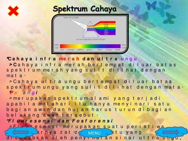 essay for my room birthday party