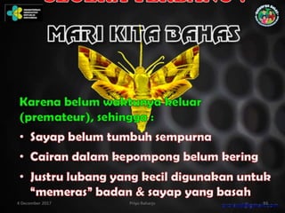 Pemberdayaan