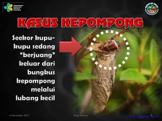 Pemberdayaan