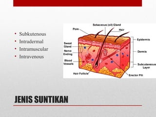 JENIS SUNTIKAN
• Subkutenous
• Intradermal
• Intramuscular
• Intravenous
 