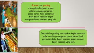 PEMBERSIHAN-SORTASI-GRANDING-PENGUPASAN-N-BLANCING.pdf