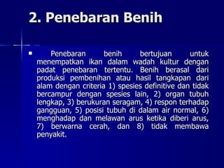 2. Penebaran Benih Penebaran benih bertujuan untuk menempatkan ikan dalam wadah kultur dengan padat penebaran tertentu. Benih berasal dari produksi pembenihan atau hasil tangkapan dari alam dengan criteria 1) spesies definitive dan tidak bercampur dengan spesies lain, 2) organ tubuh lengkap, 3) berukuran seragam, 4) respon terhadap gangguan, 5) posisi tubuh di dalam air normal, 6) menghadap dan melawan arus ketika diberi arus, 7) berwarna cerah, dan 8) tidak membawa penyakit. 